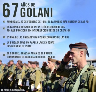 Golani-67-grafico